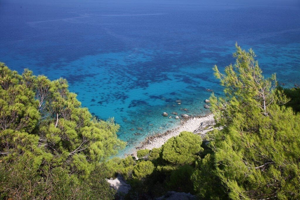 Фотография Kalypso Hotel 2*