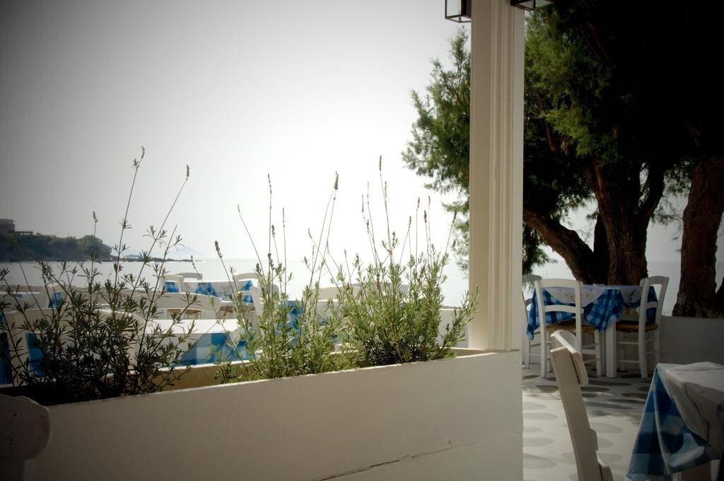 Изображение Avra Palm 3*