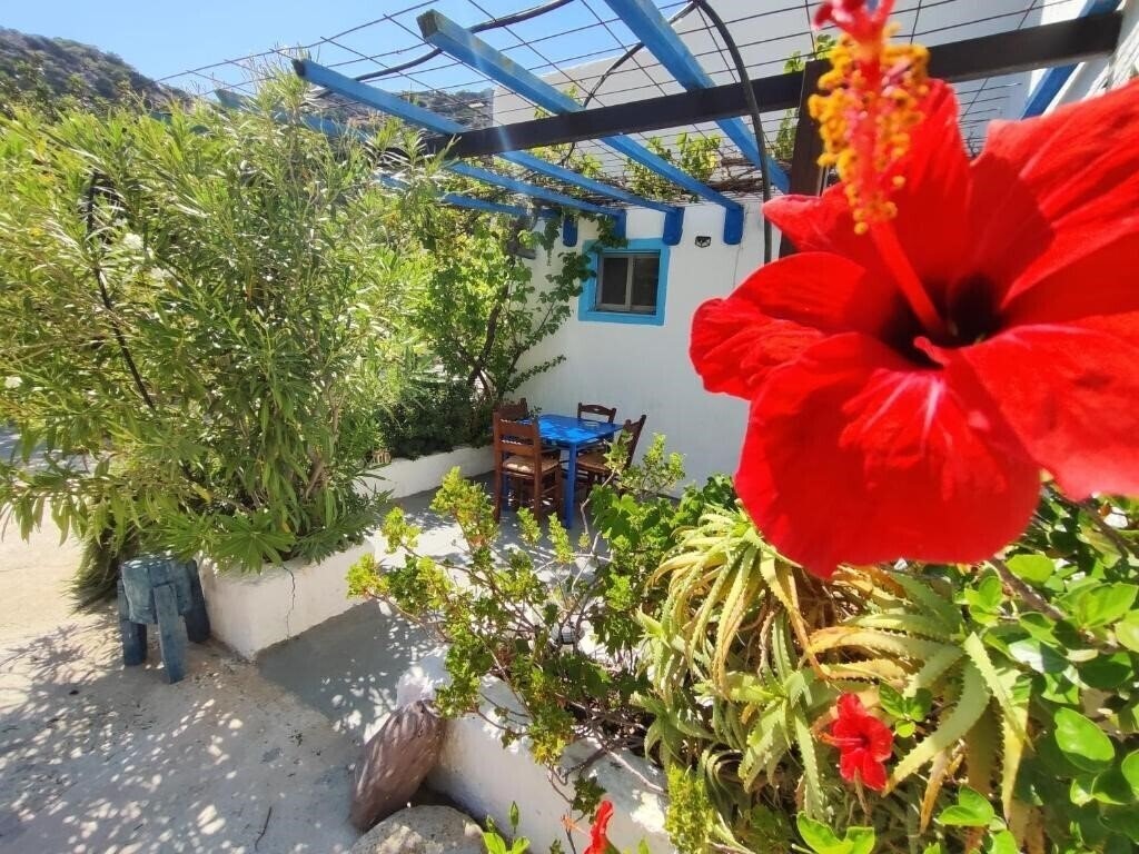 Изображение Oleander'S Garden 3*