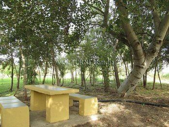 Отель Pyli Bay Hotel 3*