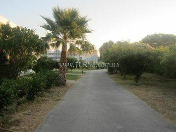 Изображение Olga Paradise 3*