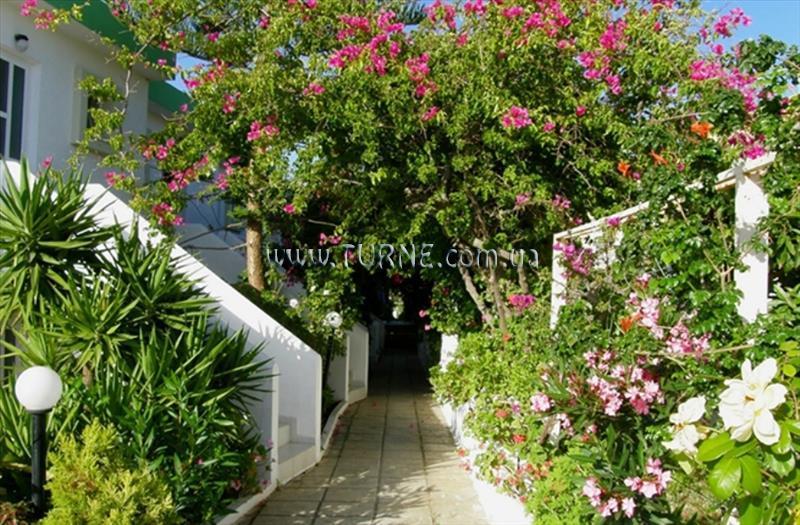 Картинка Nina Beach 3*