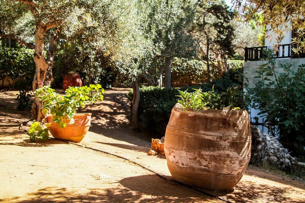 Фотография Studios Lyda 3*