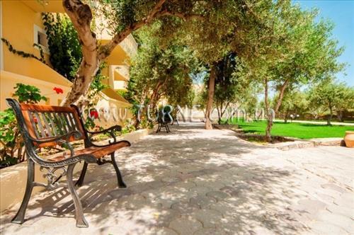 Картинка Dessole Blue Star 4*