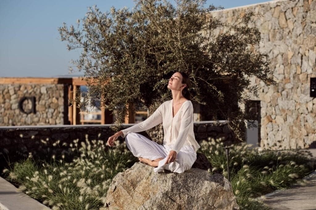 Картинка Anemelia Hotel Mykonos 5*