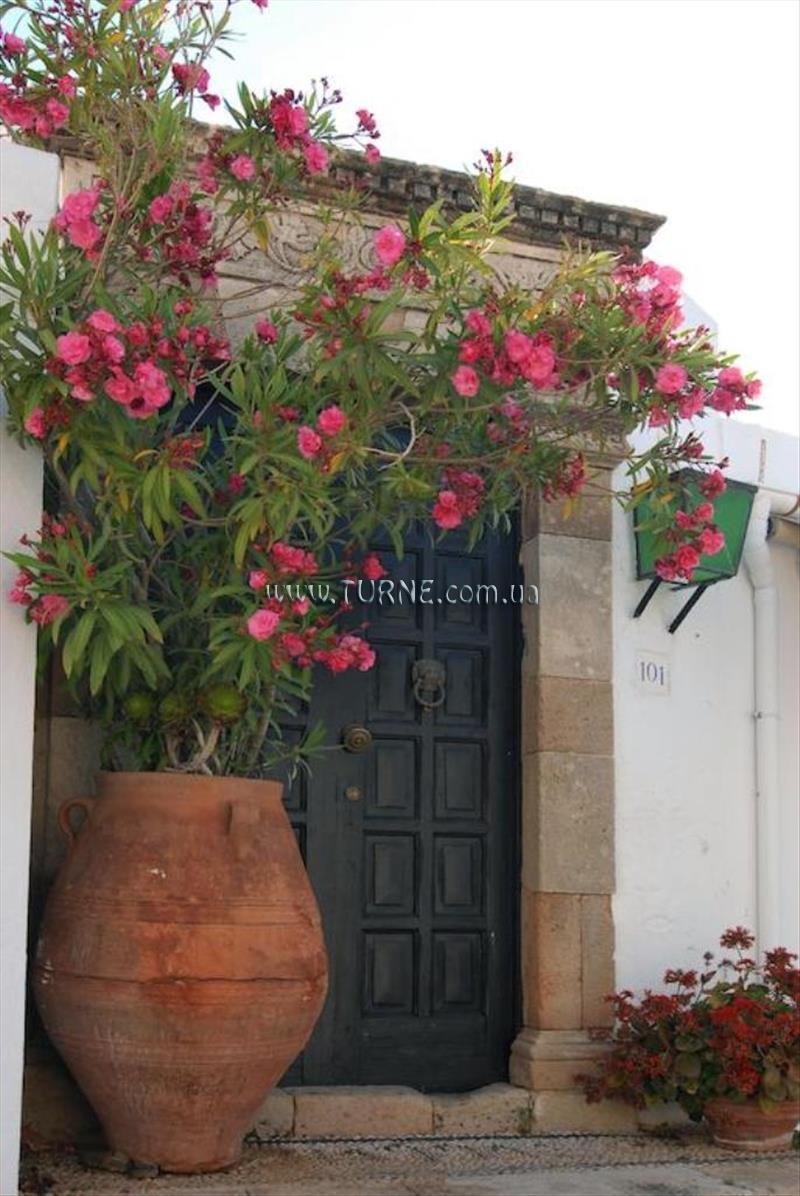 Изображение St Paul'S Bay Studios апартаменты