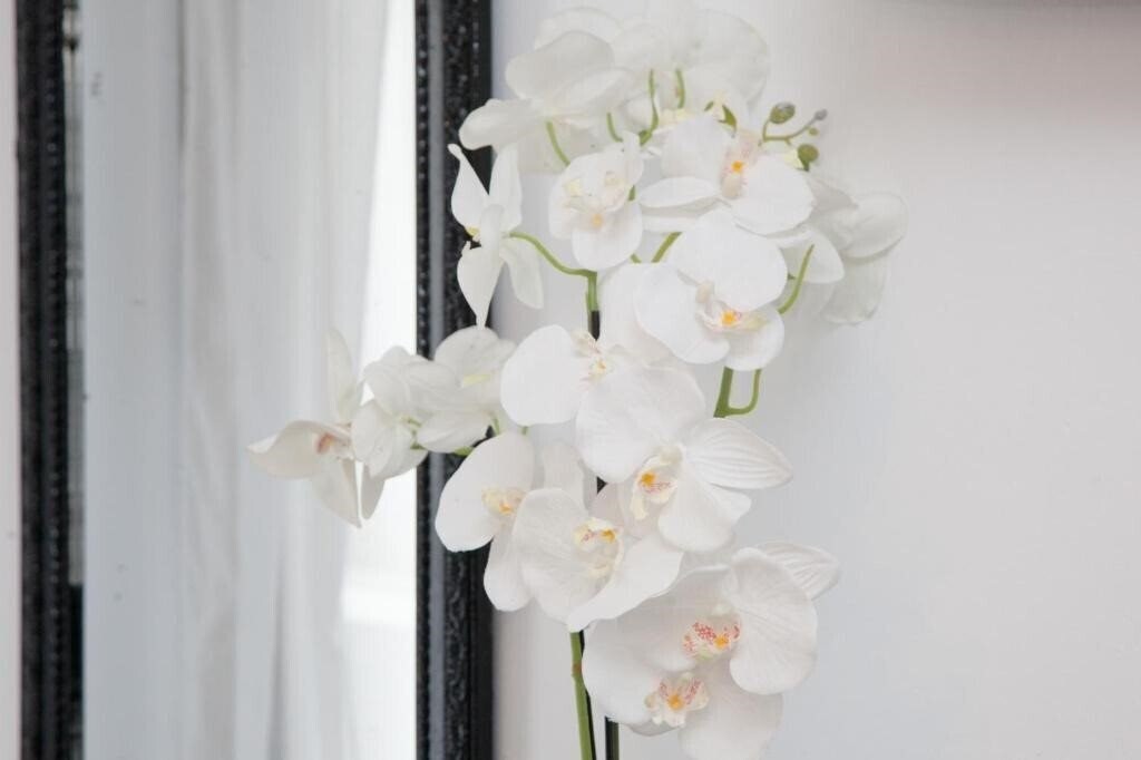 Изображение Georgia Studios And Apartments 2*