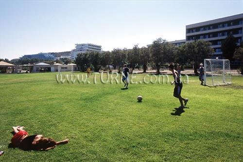 Отель Blue Star Hotel 3*