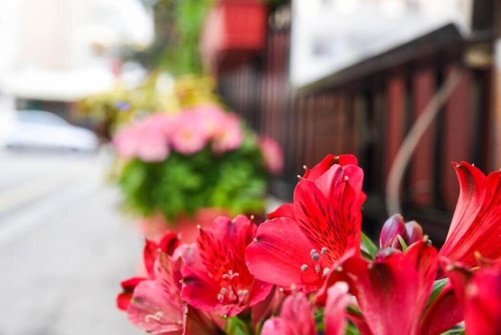 Фотография Vassilia Hotel 2*