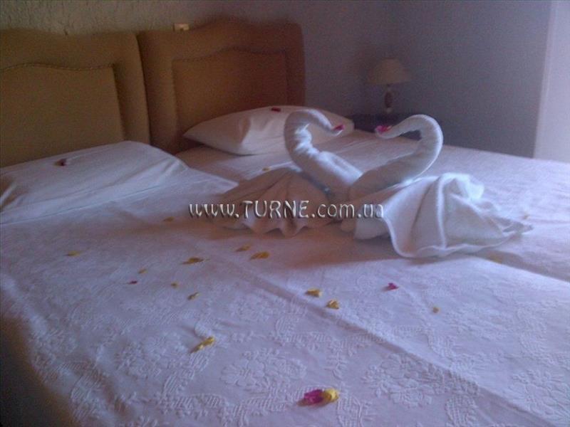 Изображение Virginia Hotel Samos 3*