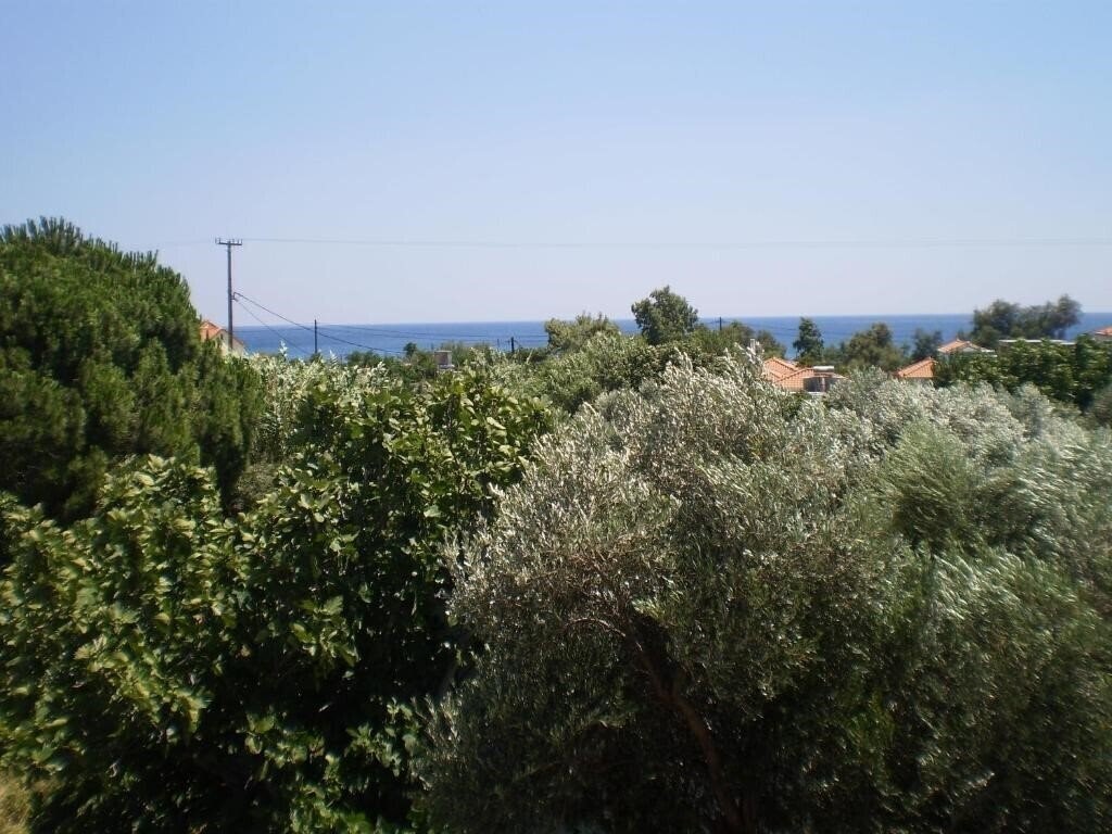 Картинка So Nice Hotel 3*