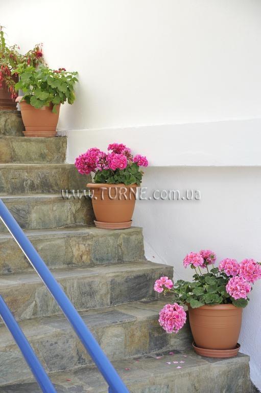 Фото Anemomilos Suites Fira 2*