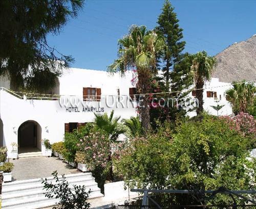 Картинка Amaryllis 2*