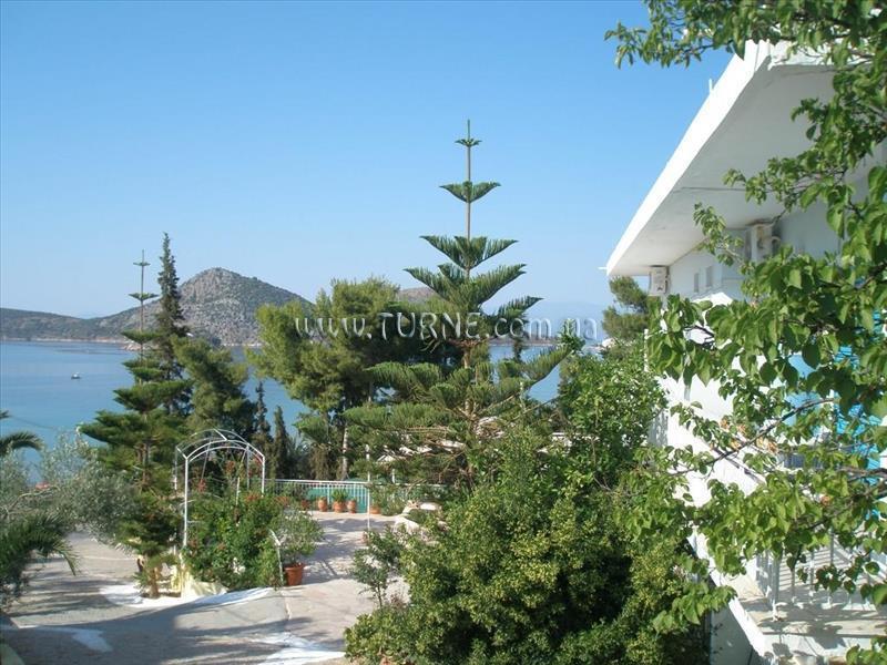 Изображение Tolon Beach Hotel (ex. Barbouna) 2*