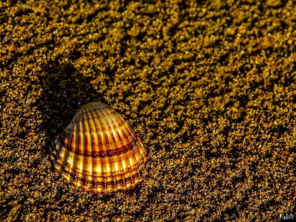 Картинка Brati II Beach Hotel 2*