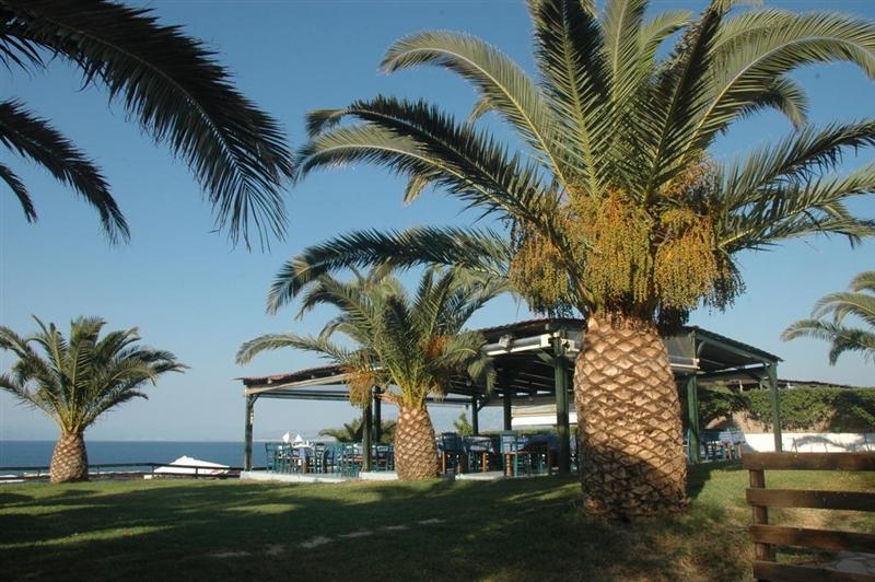 Фото Koralli Beach 3*