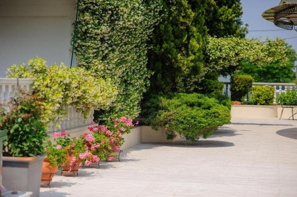 Изображение Kalipso Resort Hotel 1*