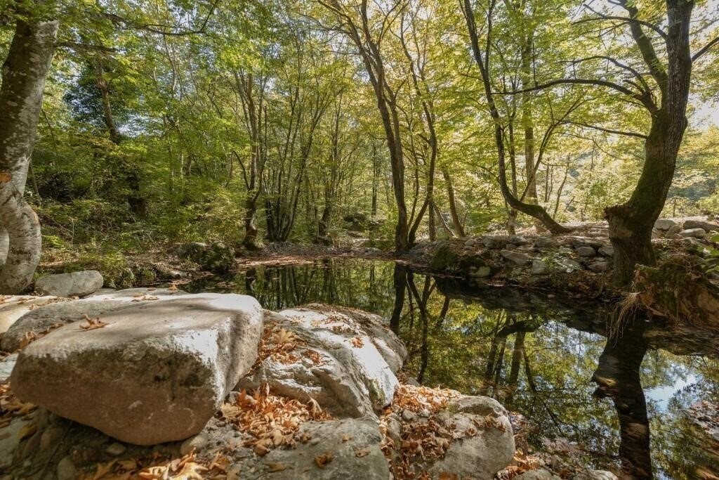 Картинка Alseides Boutique Hotel 3*