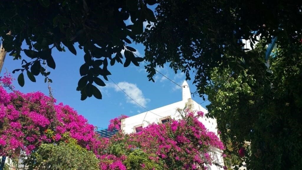 Отель Xenonas отель без категории