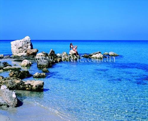 Фото Sunday Chillout Summer Resort 2*