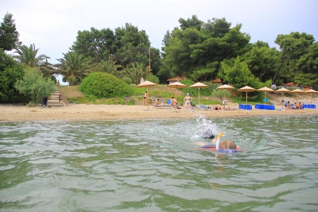 Изображение Olympic Bibis Hotel 2*