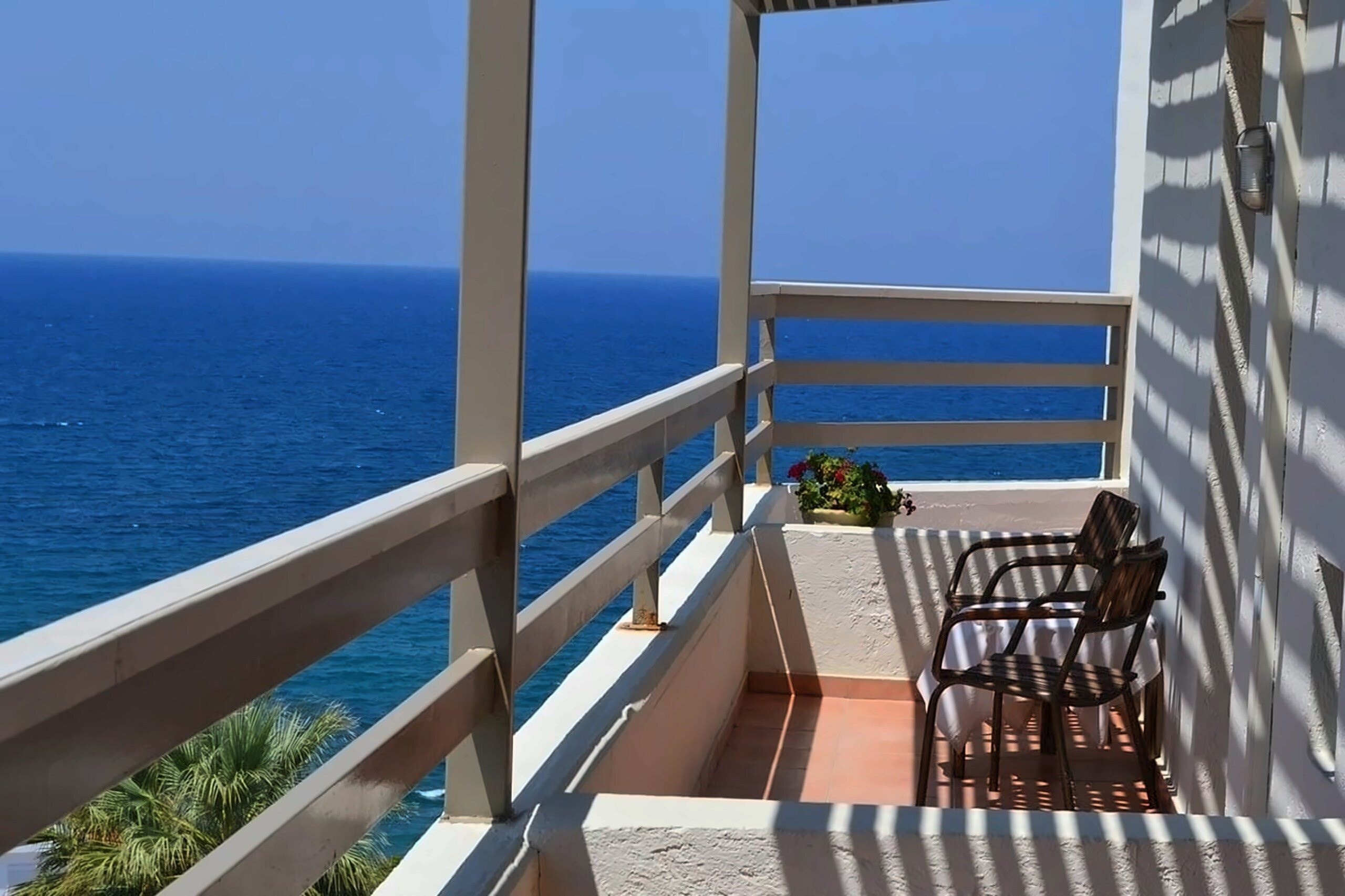 Изображение Scaleta Beach Hotel Adults Only 16+ 3*