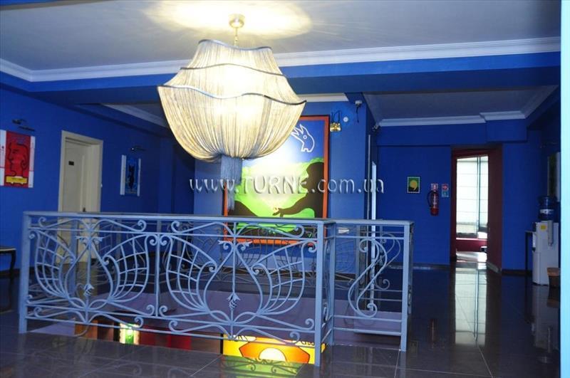 Отель Hoek-Holland 3*