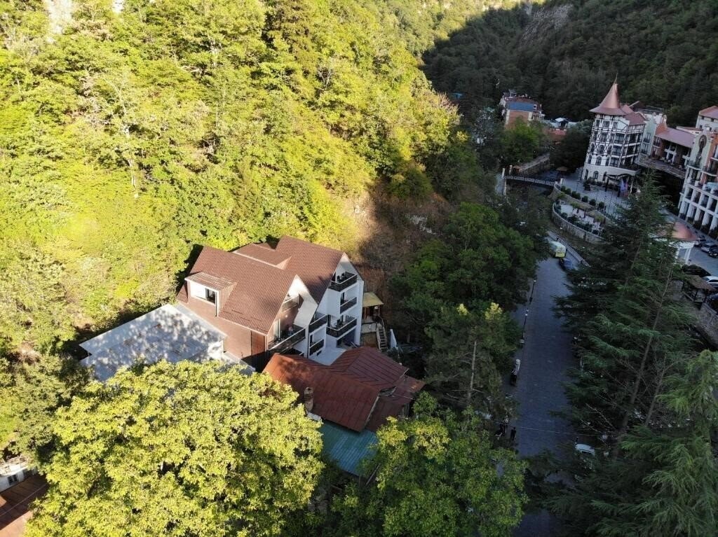 Отель Hotel Borjomi Underwood 4*