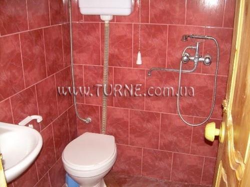 Картинка Viola 3*