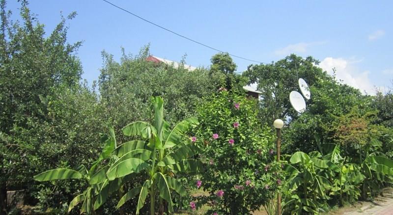 Фотография Mirage Aprt апартаменты