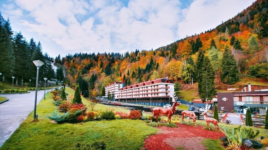 Отель Sairme Hotels & Resorts 4*