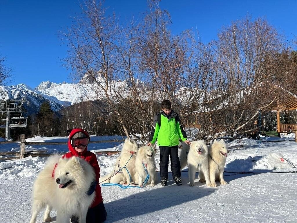 Отель Hotel Shgedi Mestia 4*