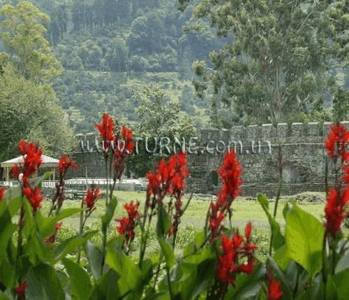 Изображение Sarpi STR 3*