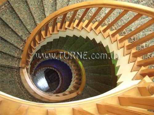 Изображение David L 3*