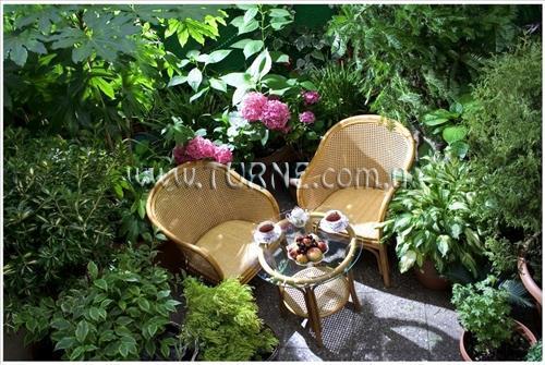 Изображение British House 4*