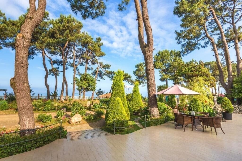 Фотография Kolkhida 4*