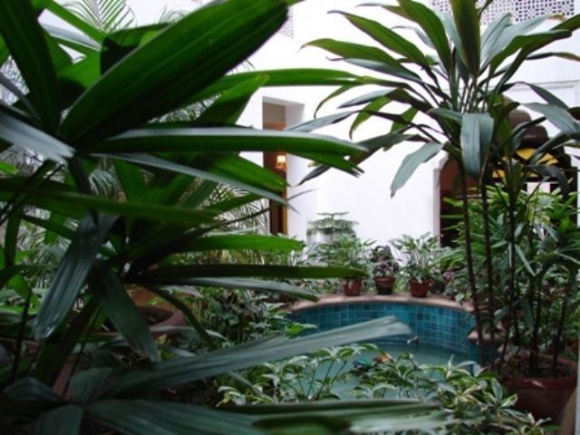 Картинка Jyoti Mahal 3*