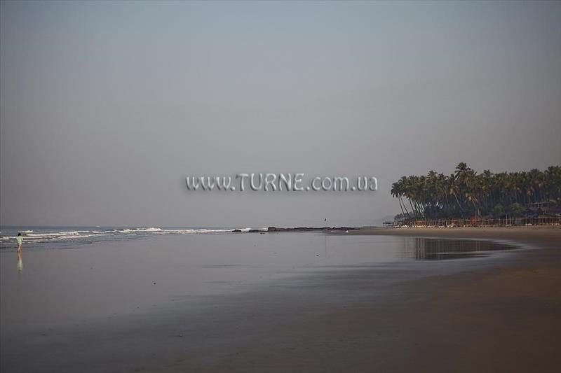 Фотография Ecowoods Village Resort And Spa 3*