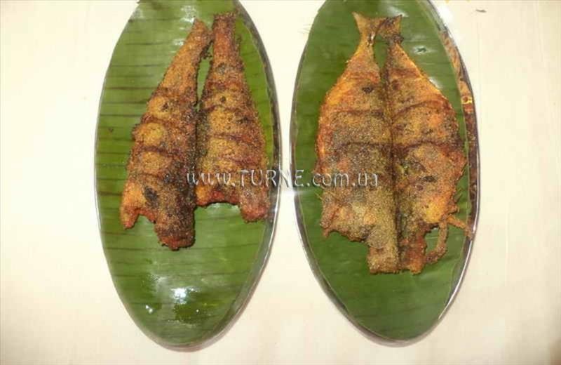 Фотография Celi'S Resort 1*