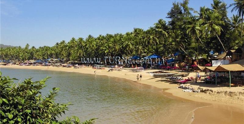 Фото Sun And Sea Goa 3*