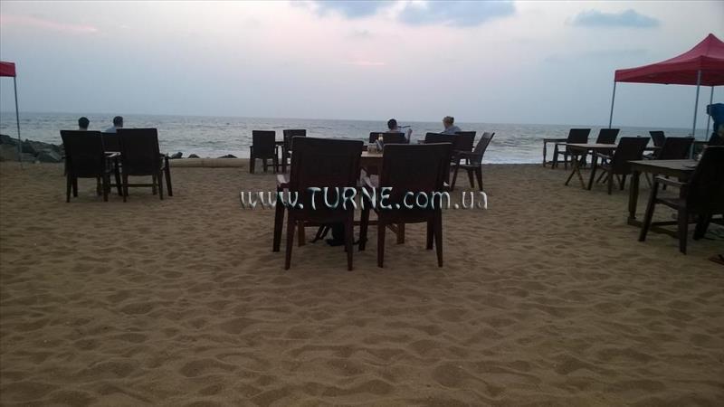 Картинка Palm Tree Bungalow 4*