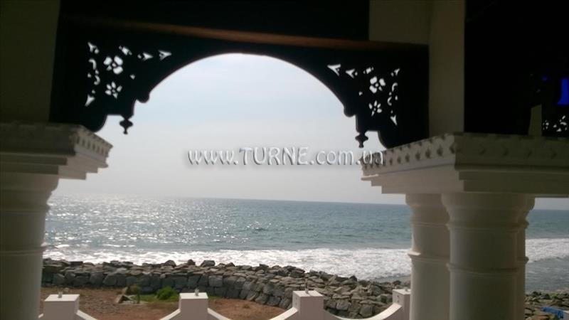 Фотография Palm Tree Bungalow 4*