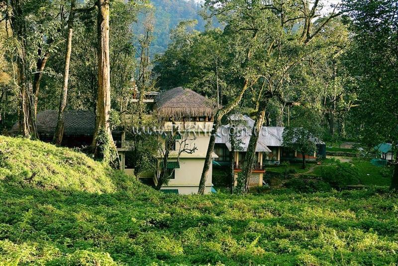 Фотография Deep Woods Resort 3*