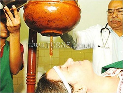 Отель Shinshiva Ayurvedic Resort 3*