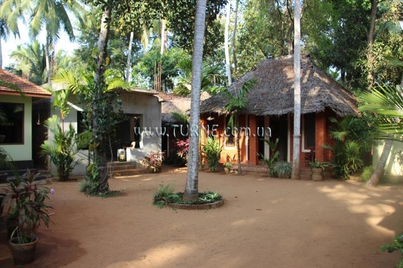 Фотография New Ideal Panchakarma Centre 2*