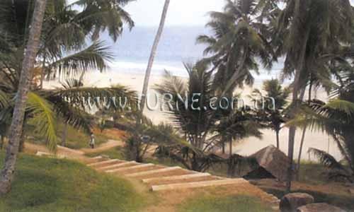 Отель Soma Palmshore 3*