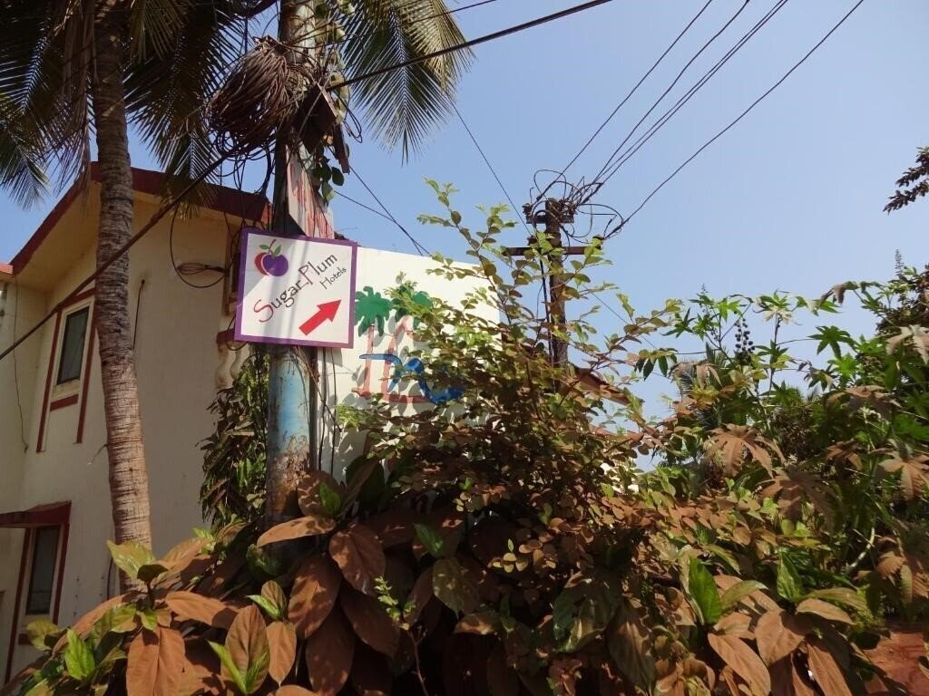 Картинка Sugar Plum Macedo Palms отель без категории