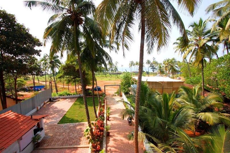 Фотография El Paso 2*