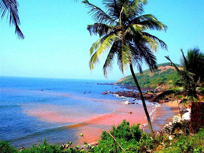 Фото Poonam Village Resort 3*