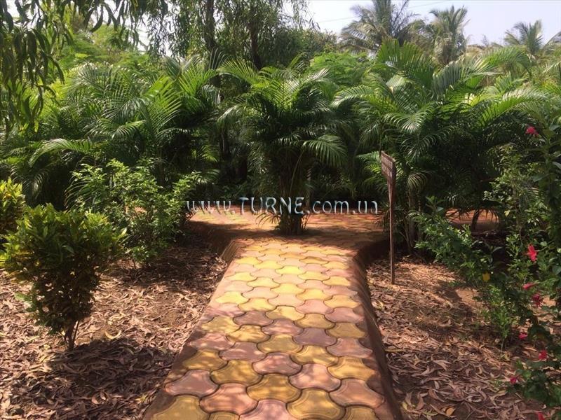 Отель Morjim Holiday Beach Resort 3*